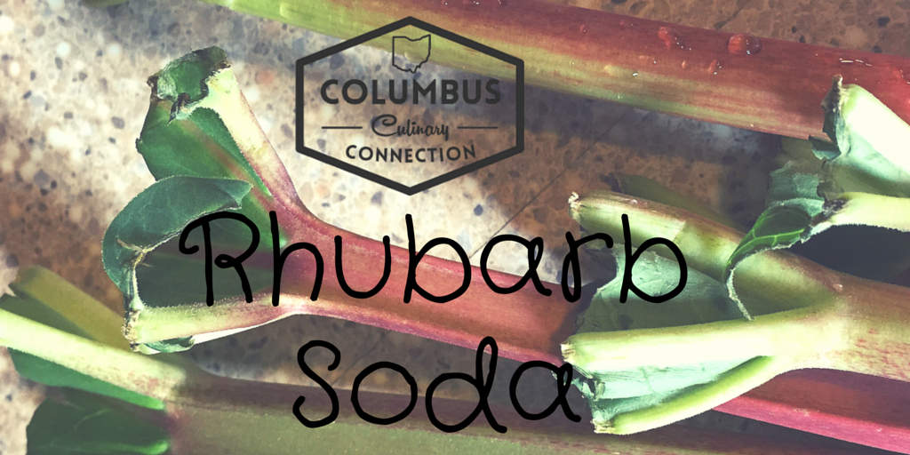 Rhubarb Soda Recipe