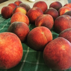 Peaches from The Peach Truck became cobbler, salad, and great side dishes